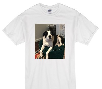 Custom Gildan 100% Cotton White T-Shirt