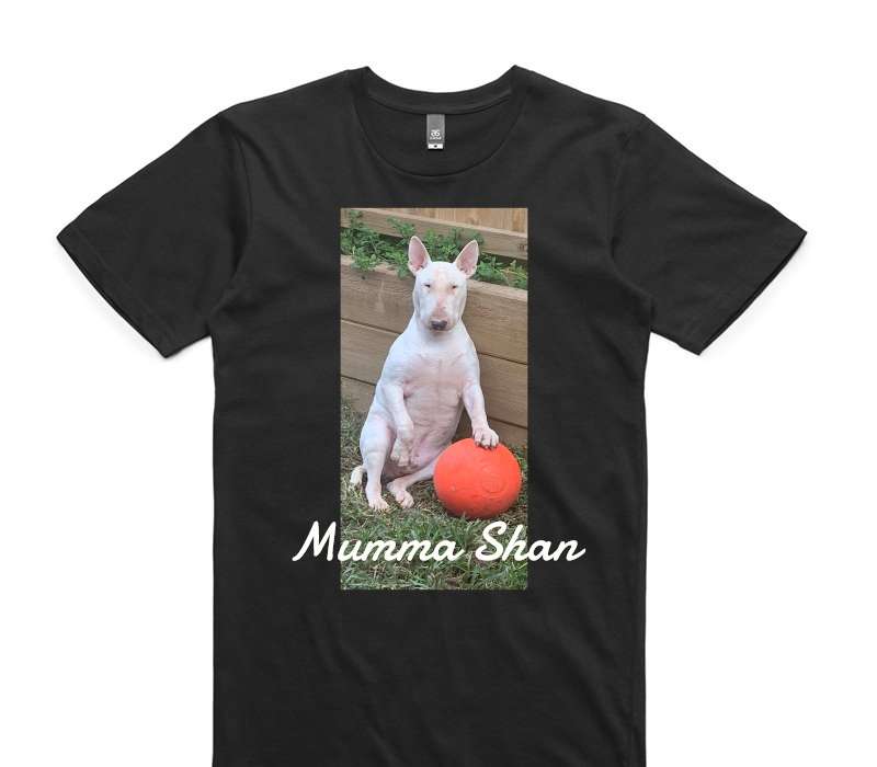 Custom AS Colour 100% Cotton Black T-Shirt