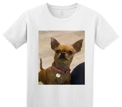 Custom Adult Soft Style 100% Cotton White T-Shirt