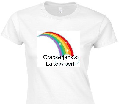 Custom Womens Soft Style 100% Cotton White T-Shirt