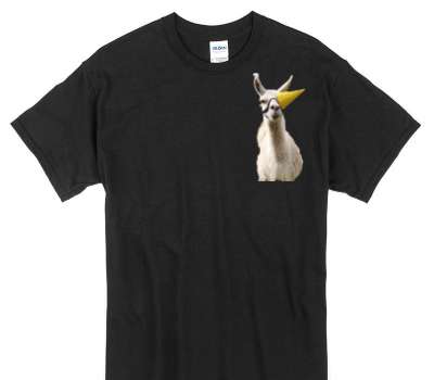 Custom Gildan 100% Cotton Black T-Shirt