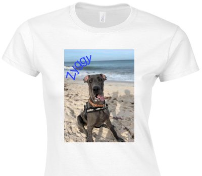 Custom Womens Soft Style 100% Cotton White T-Shirt