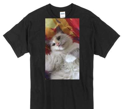 Custom Gildan 100% Cotton Black T-Shirt