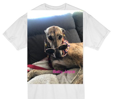 Custom Gildan 100% Cotton White T-Shirt