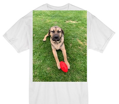 Custom Gildan 100% Cotton White T-Shirt
