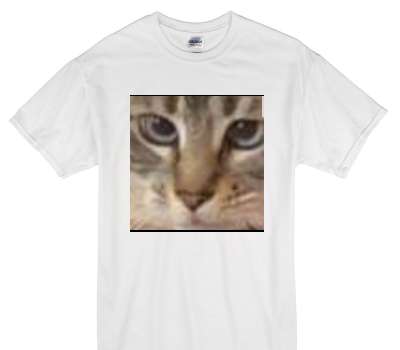 Custom Gildan 100% Cotton White T-Shirt