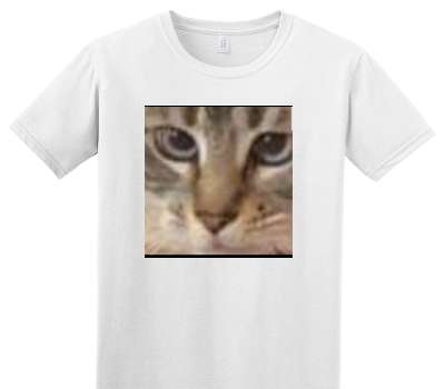 Custom Adult Soft Style 100% Cotton White T-Shirt