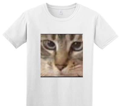 Custom Adult Soft Style 100% Cotton White T-Shirt