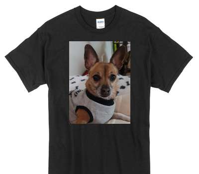 Custom Gildan 100% Cotton Black T-Shirt