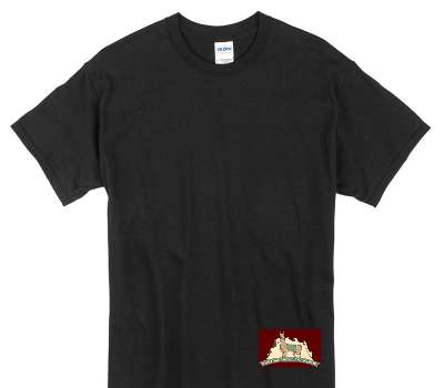 Custom Gildan 100% Cotton Black T-Shirt