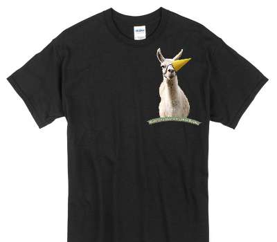 Custom Gildan 100% Cotton Black T-Shirt