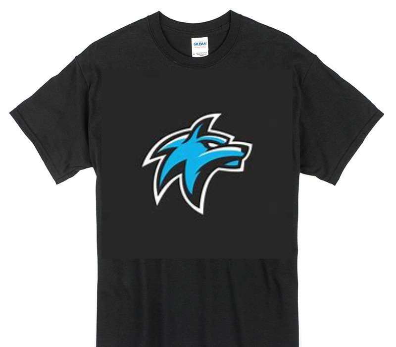 Custom Gildan 100% Cotton Black T-Shirt