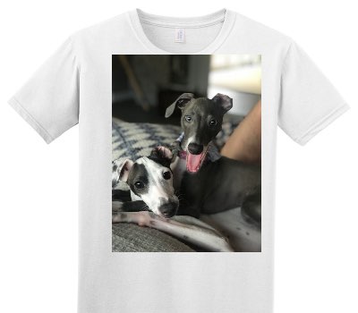 Custom Adult Soft Style 100% Cotton White T-Shirt