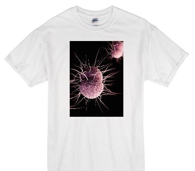 Custom Gildan 100% Cotton White T-Shirt