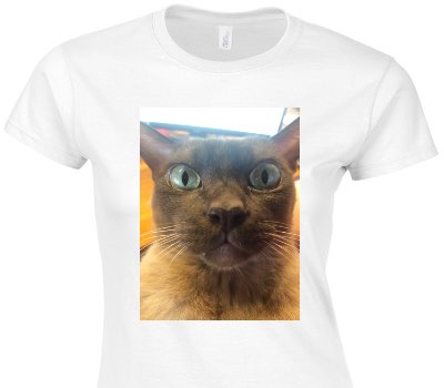 Custom Womens Soft Style 100% Cotton White T-Shirt