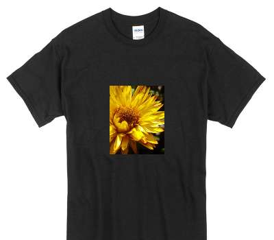 Custom Gildan 100% Cotton Black T-Shirt