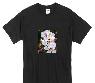 Custom Gildan 100% Cotton Black T-Shirt