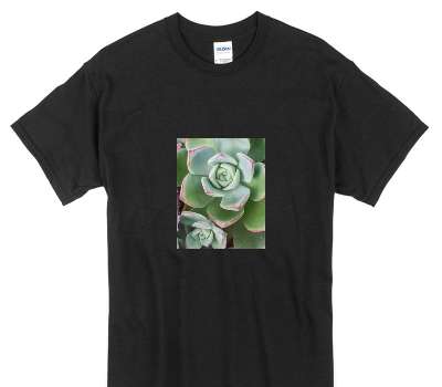 Custom Gildan 100% Cotton Black T-Shirt