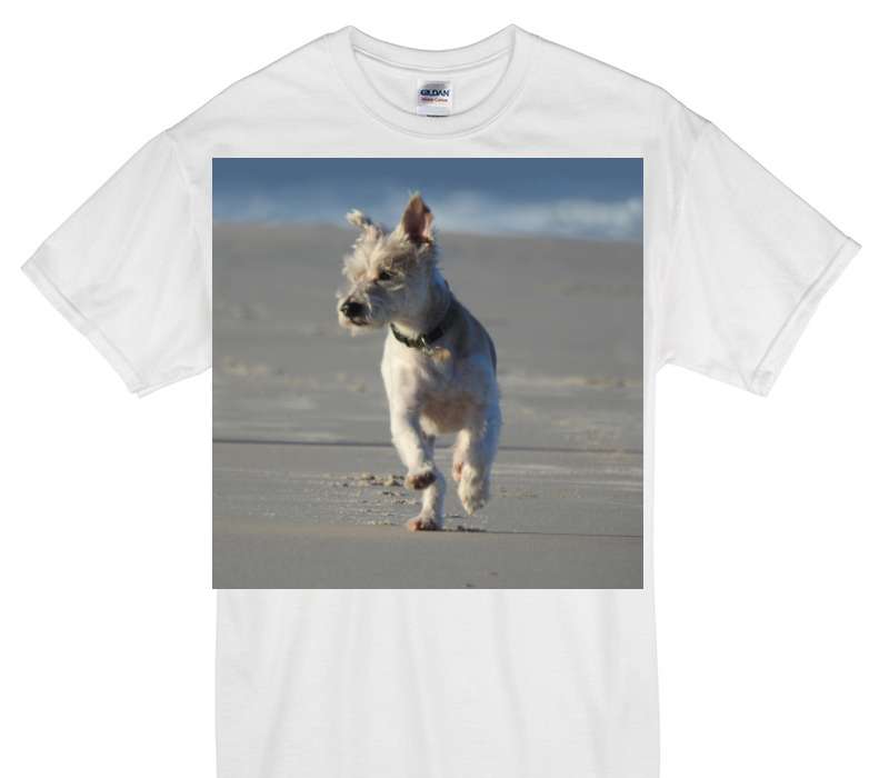 Custom Gildan 100% Cotton White T-Shirt