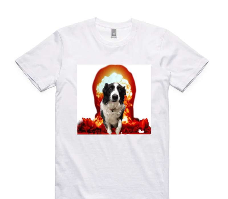 Custom AS Colour 100% Cotton White T-Shirt