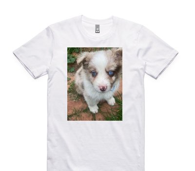Custom AS Colour 100% Cotton White T-Shirt