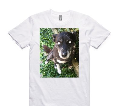Custom AS Colour 100% Cotton White T-Shirt