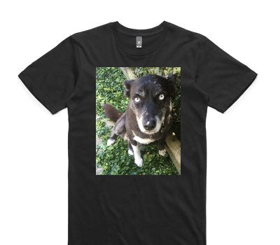 Custom AS Colour 100% Cotton Black T-Shirt