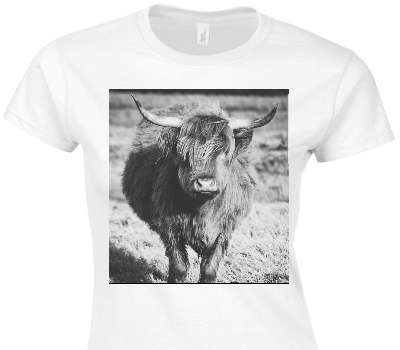 Custom Womens Soft Style 100% Cotton White T-Shirt