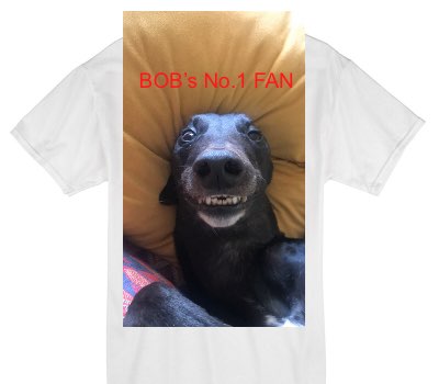 Custom Gildan 100% Cotton White T-Shirt