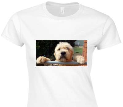 Custom Womens Soft Style 100% Cotton White T-Shirt