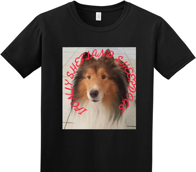 Custom Adult Soft Style 100% Cotton Black T-Shirt