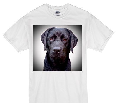 Custom Gildan 100% Cotton White T-Shirt