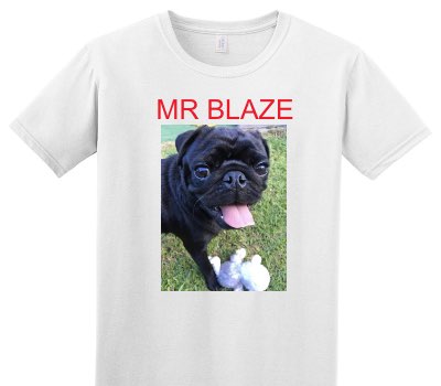 Custom Adult Soft Style 100% Cotton White T-Shirt