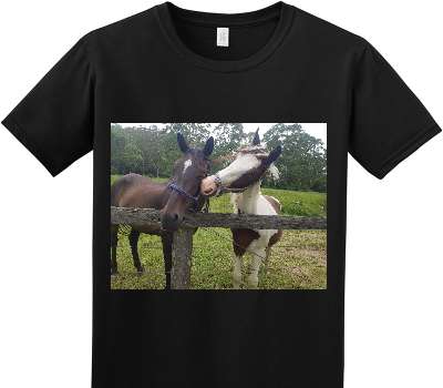 Custom Adult Soft Style 100% Cotton Black T-Shirt