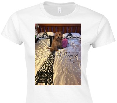Custom Womens Soft Style 100% Cotton White T-Shirt