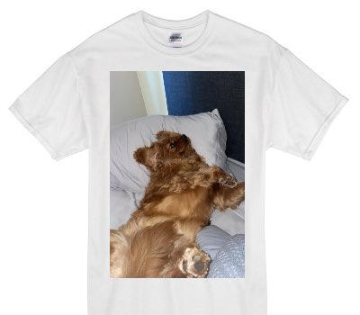 Custom Gildan 100% Cotton White T-Shirt