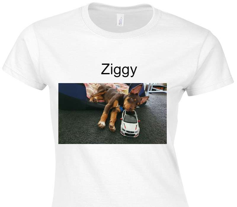 Custom Womens Soft Style 100% Cotton White T-Shirt