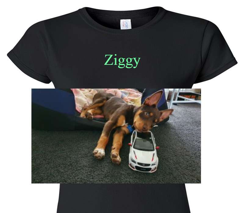 Custom Womens Soft Style 100% Cotton Black T-Shirt