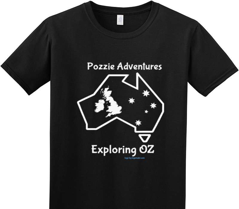 Custom Adult Soft Style 100% Cotton Black T-Shirt