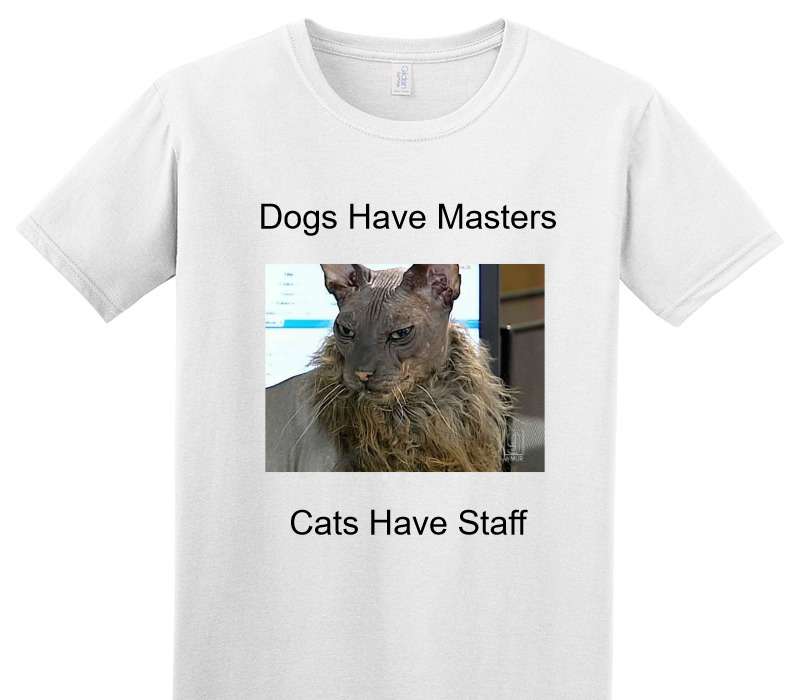 Custom Adult Soft Style 100% Cotton White T-Shirt