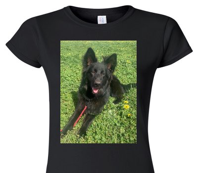 Custom Womens Soft Style 100% Cotton Black T-Shirt