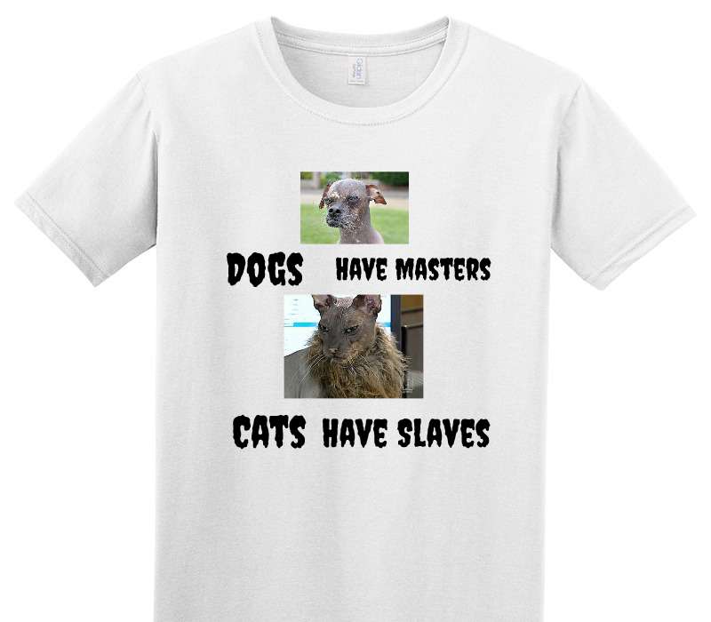 Custom Adult Soft Style 100% Cotton White T-Shirt