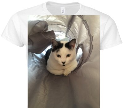 Custom Womens Soft Style 100% Cotton White T-Shirt
