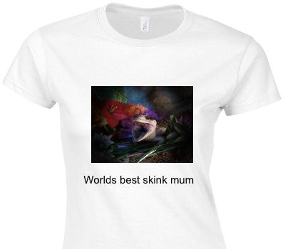 Custom Womens Soft Style 100% Cotton White T-Shirt