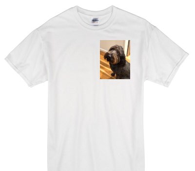 Custom Gildan 100% Cotton White T-Shirt