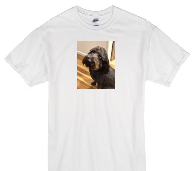 Custom Gildan 100% Cotton White T-Shirt